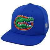 Florida Gators Top of the World Straight Brim Hat